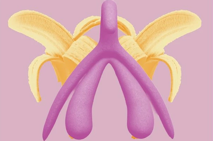The clitoris - image